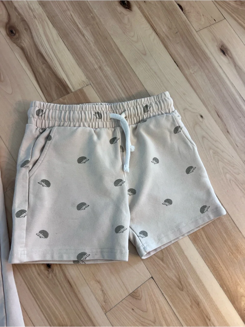 Jamie Kay Beige Sweatshirt & Jogger Set with Gray      Hedgehog Print